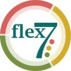 Flex7 connectors & leads