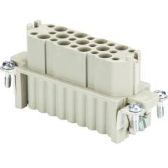 Wieland 73.700.2553.0 HD BUC 25 25 female insert, 25 pole, revos HD 25 pole + ground (clearance)