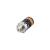 IFM PK-025-SFR14-PSPKG/US/ /W (PK5723) Pressure switch 0-25 bar, 1xN/O, M12 plug, R 1/4